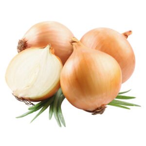 onion brown spain