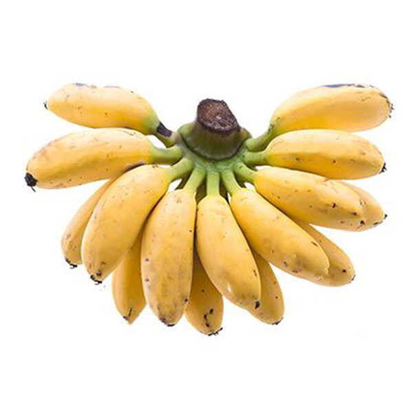 Banana Small