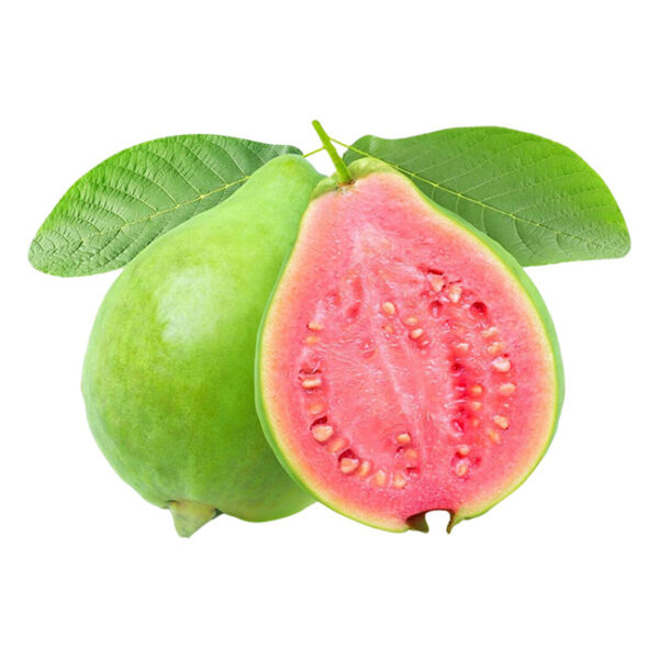 Guava Red