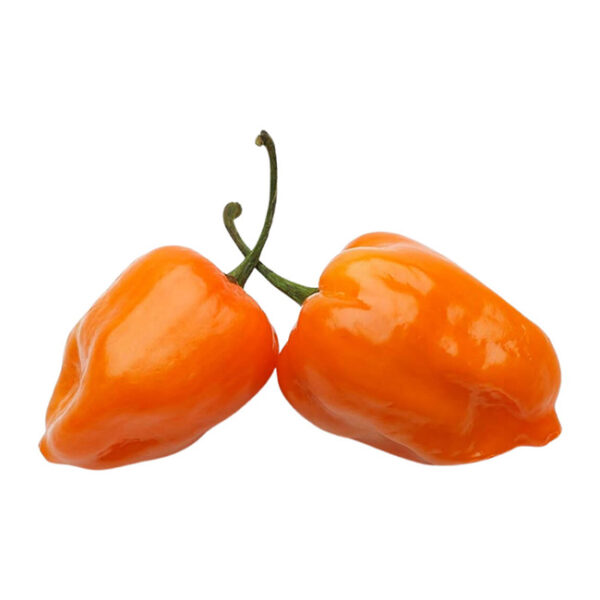 Habanero Chili Yellow