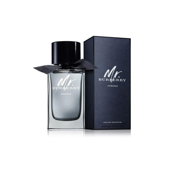 Burberry Mr. Burberry EDT For Men 100ML