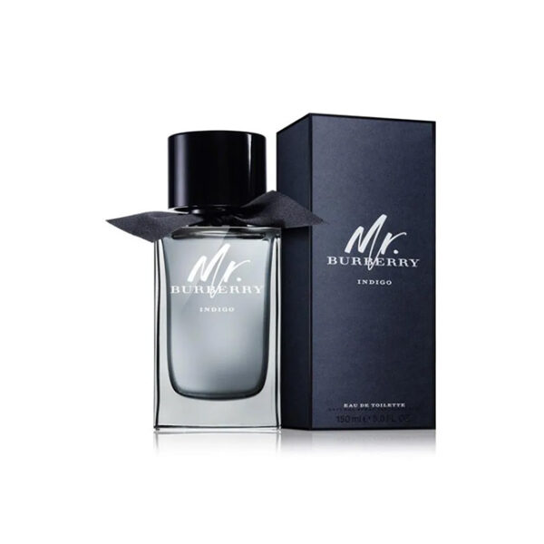 Burberry Mr. Burberry EDT For Men 100ML Set