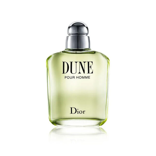DIOR DUNE HOMME EDT 100ML - Image 1